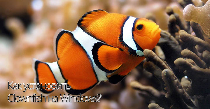 Clownfish на Windows