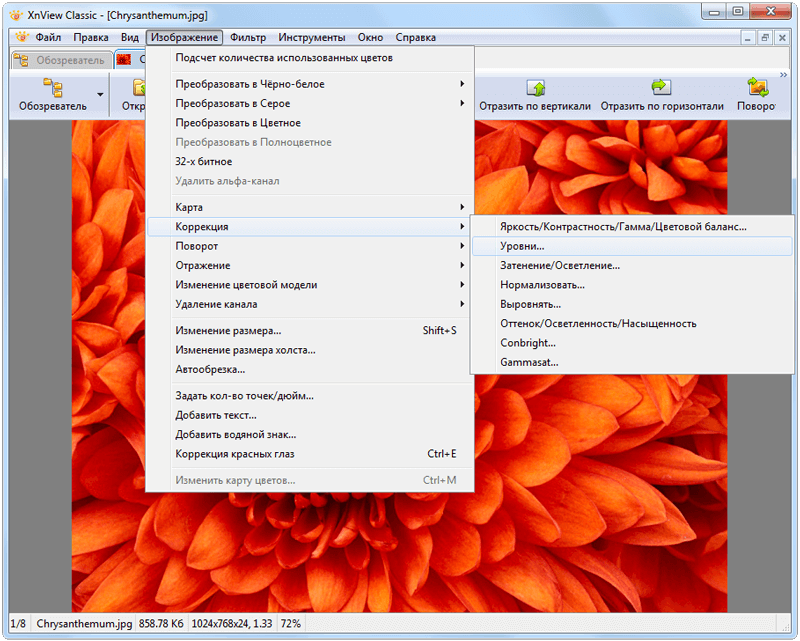 Возможности программы XnView для Windows 10