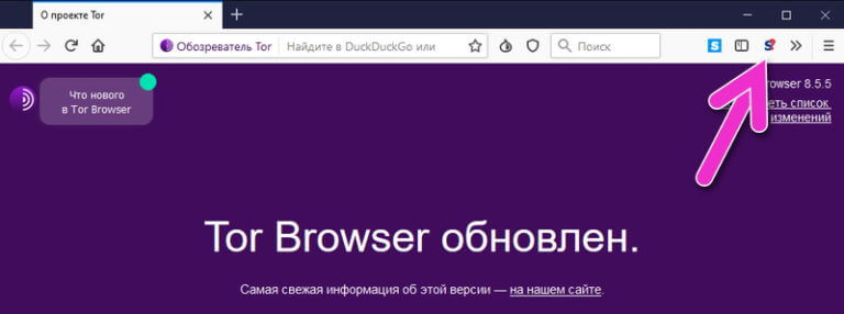 Как в tor browser включить javascript в ссылки гидры для тор