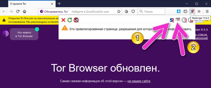 tor browser javascript включить hidra
