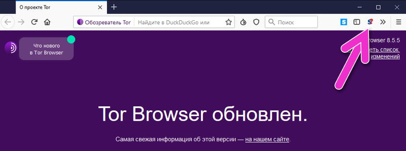 Tor browser для windows с активированной поддержкой javascript